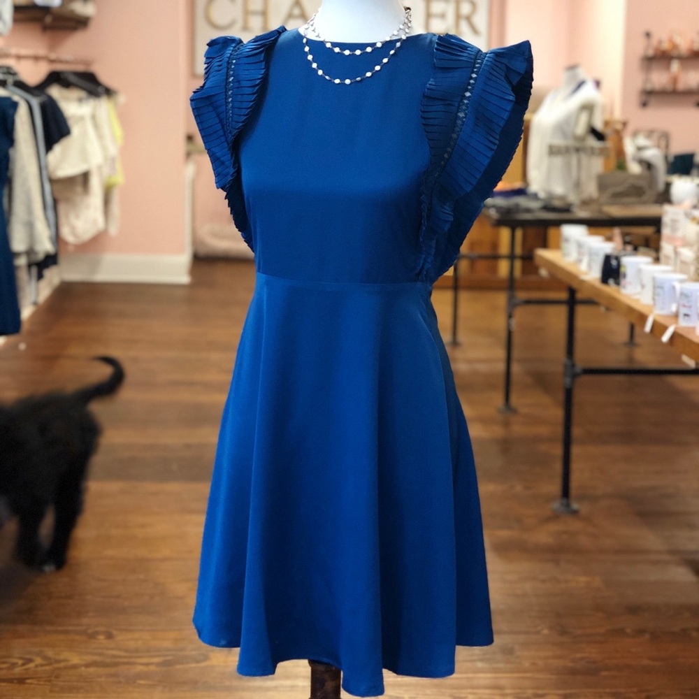 Marquis Pleated Sleeve Dress